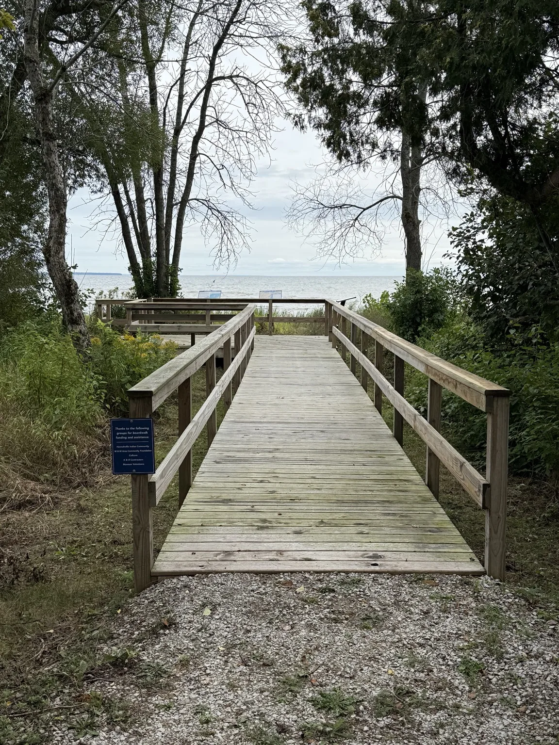 Boardwalk to the lake